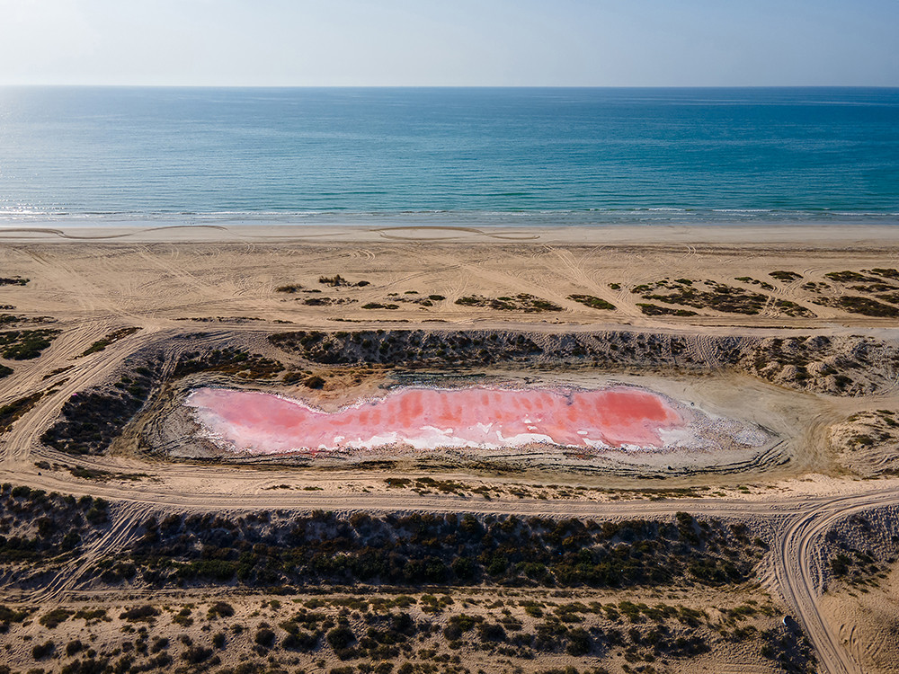 Roze meer