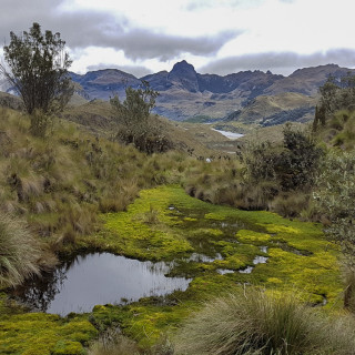 Afbeelding voor El Cajas Nationaal Park