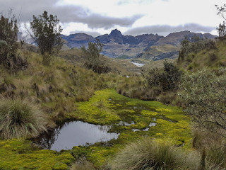 Afbeelding voor El Cajas Nationaal Park