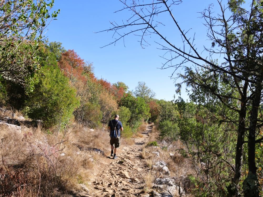 Bois de Païolive route