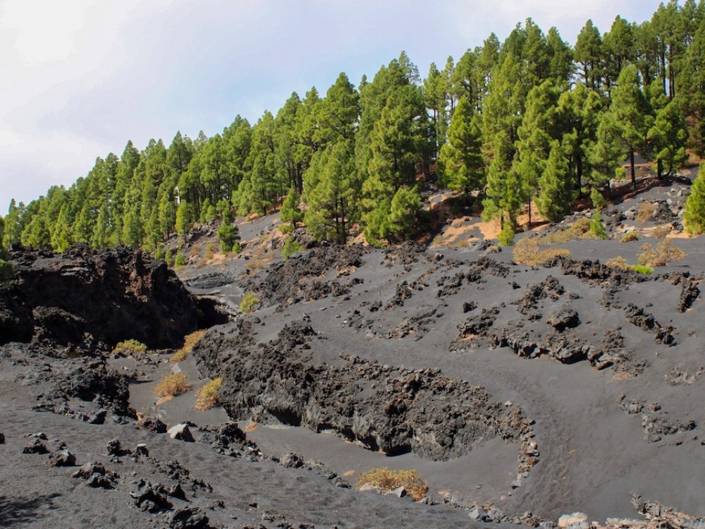 Wandelvakantie La Palma