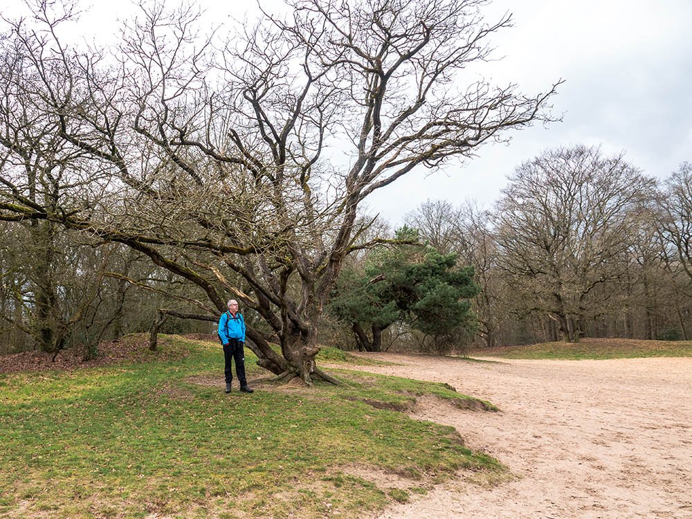 Wandelen in Bakkeveen