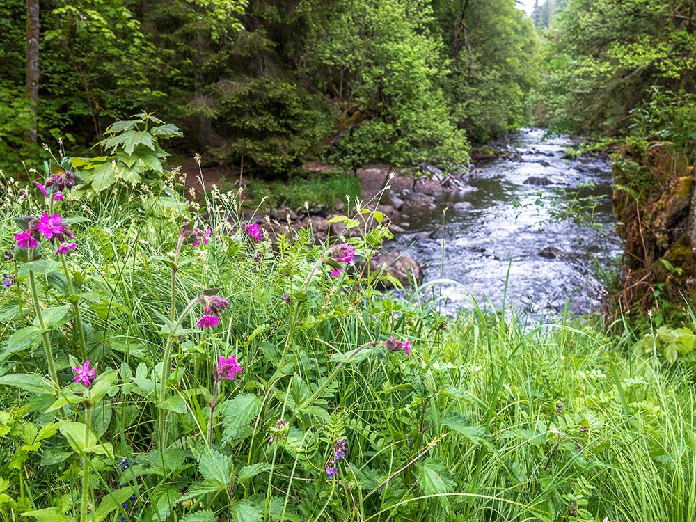 Wutach rivier