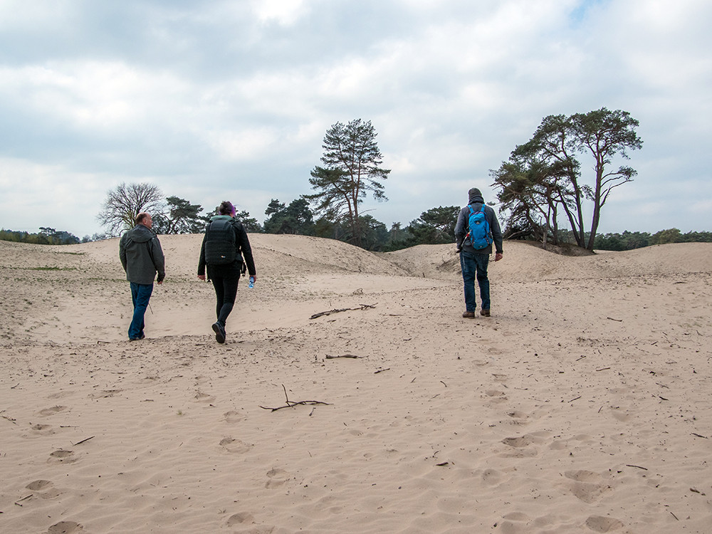 Wandelen Landgoed Beerze