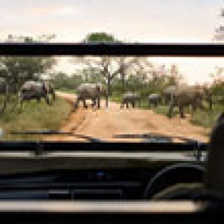 Afbeelding voor Voja Travel - Ultiem Zuid-Afrika