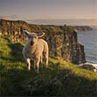 Afbeelding voor Pharos Reizen - Wild Atlantic Way