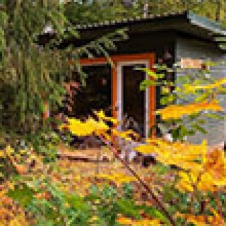 Afbeelding voor Ennu's hut - Cabin in Lahemaa NP
