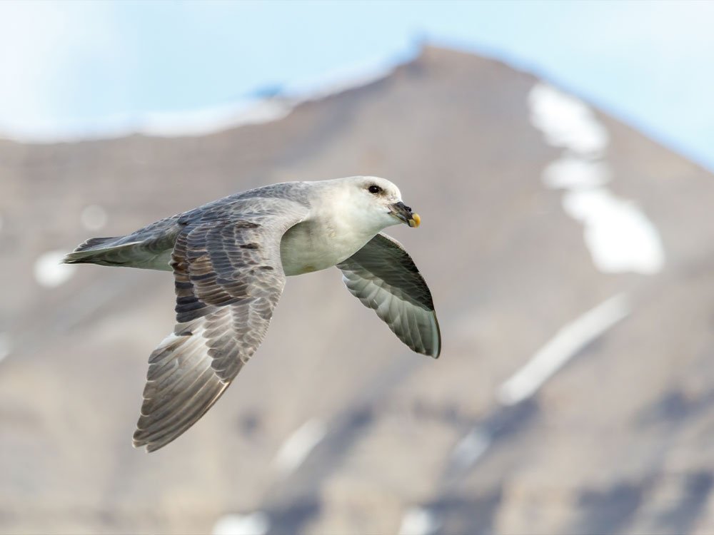 wAARDEvol reizen naar Spitsbergen