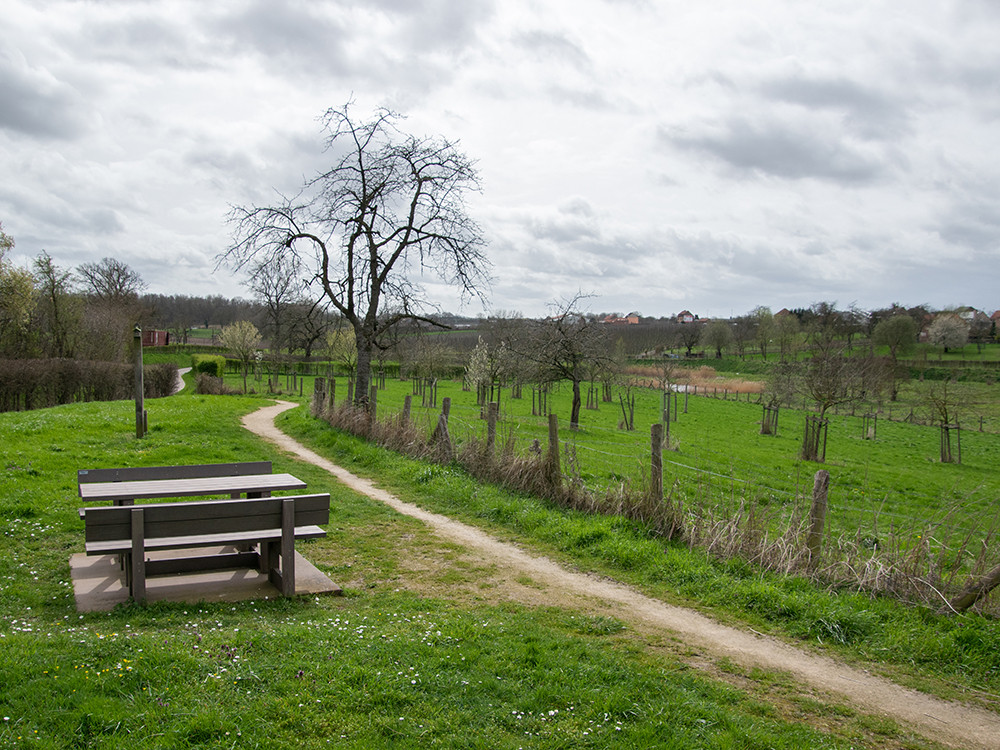 Picknickplaats Cicindriavallei