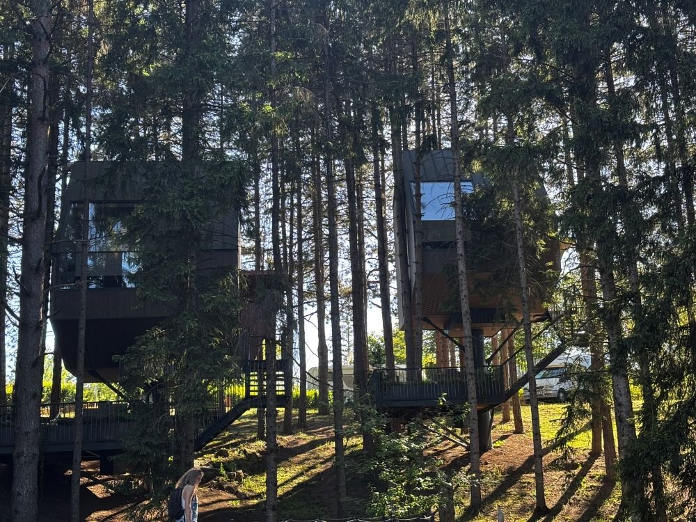 Boomhutten