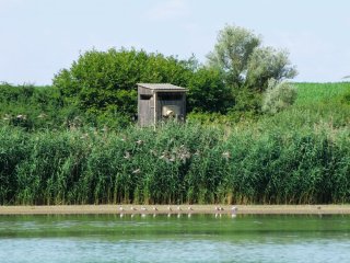 Afbeelding voor Lac du Der