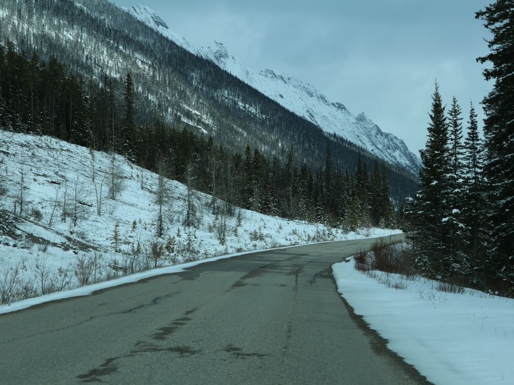 Maligne road