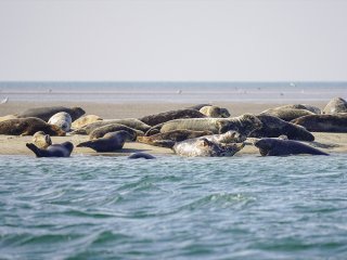 Afbeelding voor Zuid-Denemarken