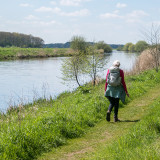 Afbeelding voor Wandelen in Overijssel