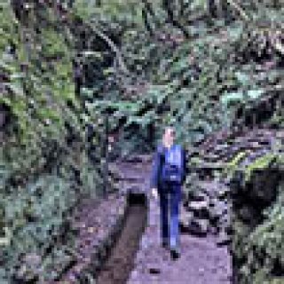 Afbeelding voor Better Places - Wandelvakantie Madeira