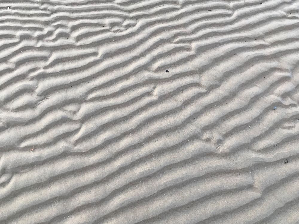 Golfribbels in het zand