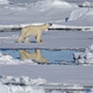 Afbeelding voor Ander Licht Reizen - Spitsbergen