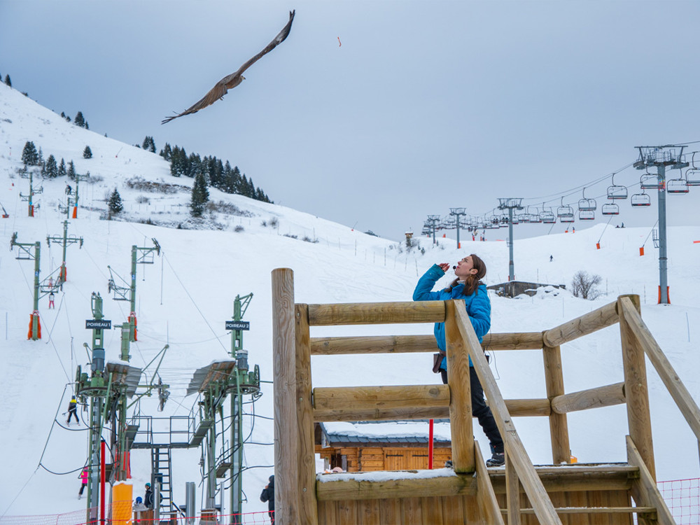 Skiën met roofvogels
