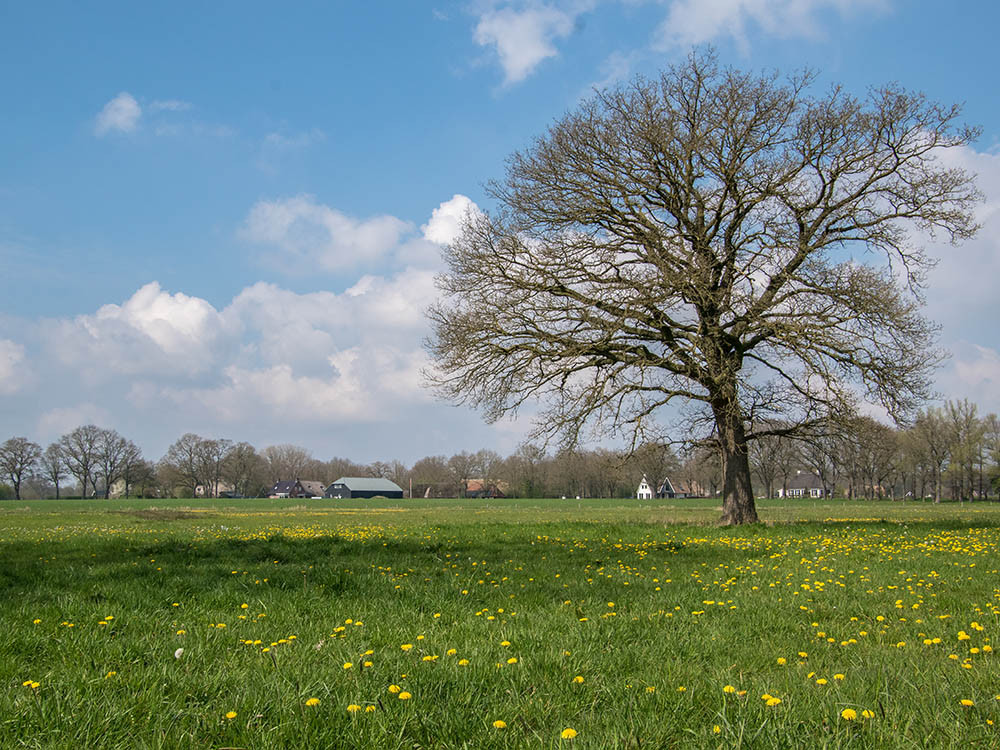 Het Vechtdal met uitzicht op Rheeze