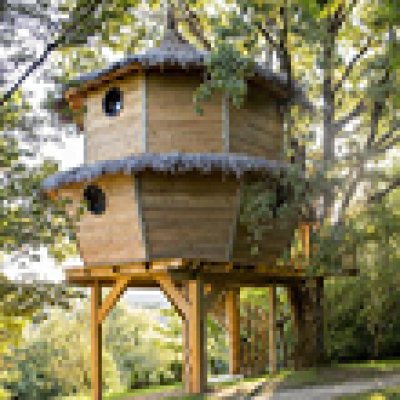 Afbeelding voor Boomhut, yurt of natuurcamping