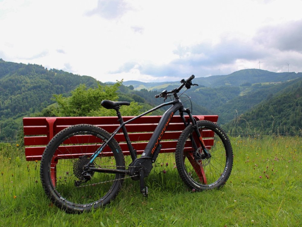 E-bike in het Zwarte Woud
