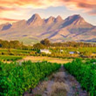 Afbeelding voor Voja Travel - Cape Explorer
