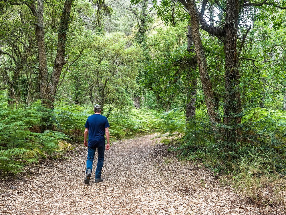 Wandelen in Landes