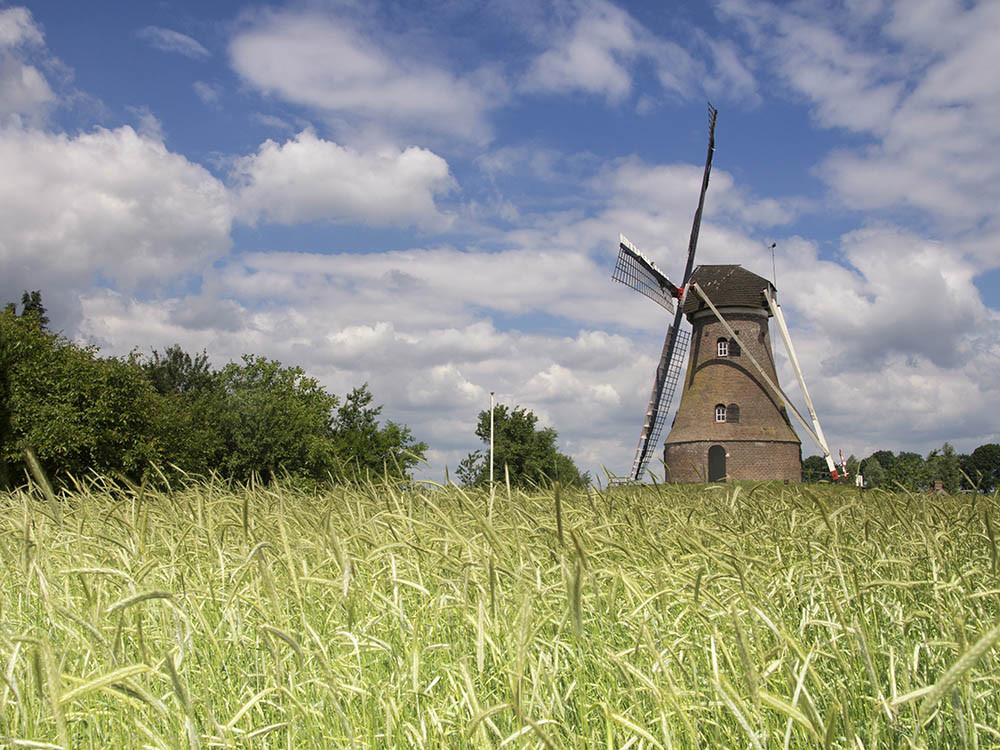 Gelders landschap