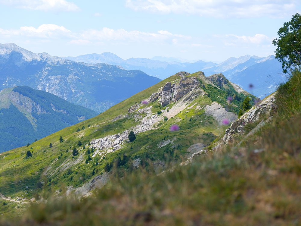 Natuur in Montenegro