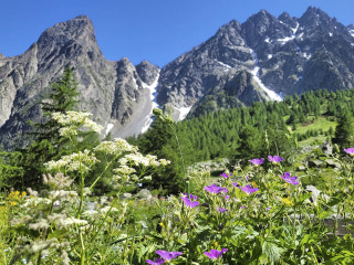 Afbeelding voor Wandelen in Serre Chevalier