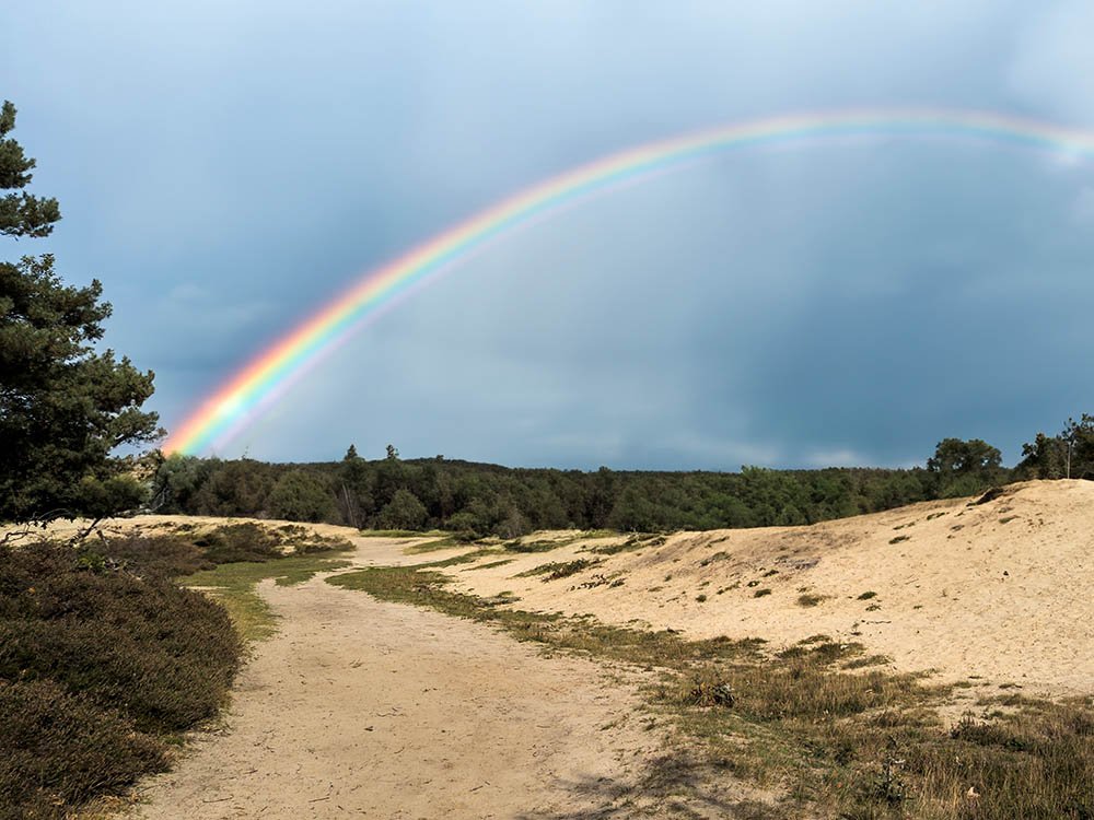 Wandelen bij Bakkeveen