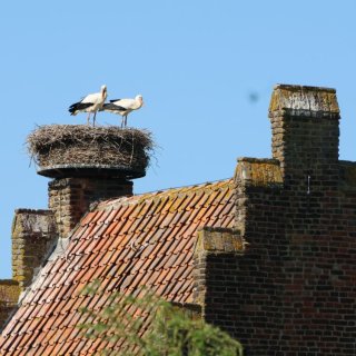 Afbeelding voor Noord-Brabant