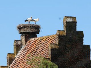 Afbeelding voor Noord-Brabant
