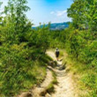 Afbeelding voor Bookatrekking - Wandelreizen Toscane