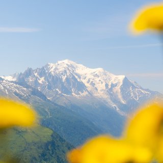 Afbeelding voor Mont Blanc