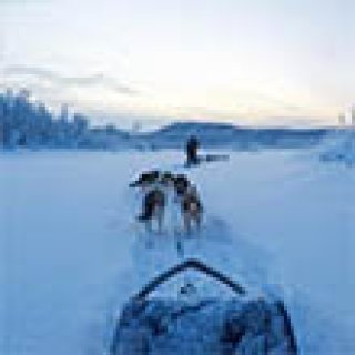 Afbeelding voor Voigt Travel - Winteravontuur Tromsø en Senja
