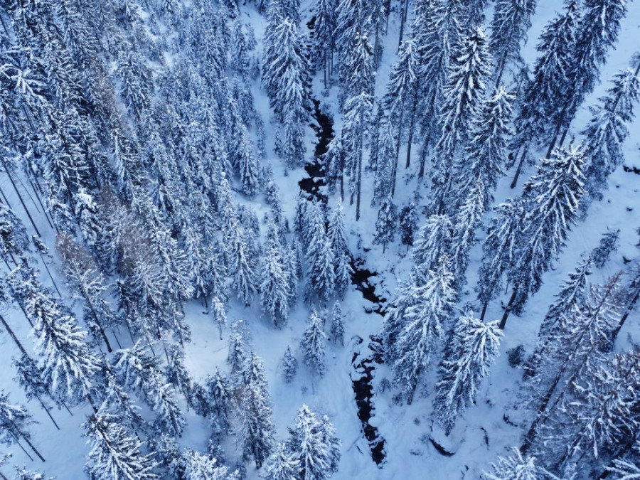 Bossen in Osttirol