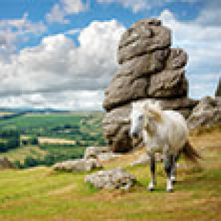 Afbeelding voor TIP Naturescanner trip Zuidwest-Engeland