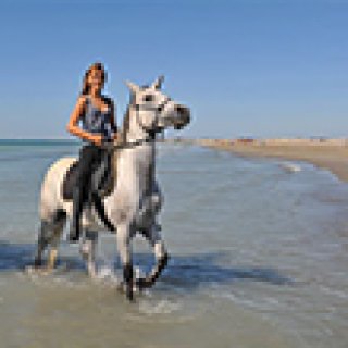 Afbeelding voor Get Your Guide - Natuurexcursies Bodrum