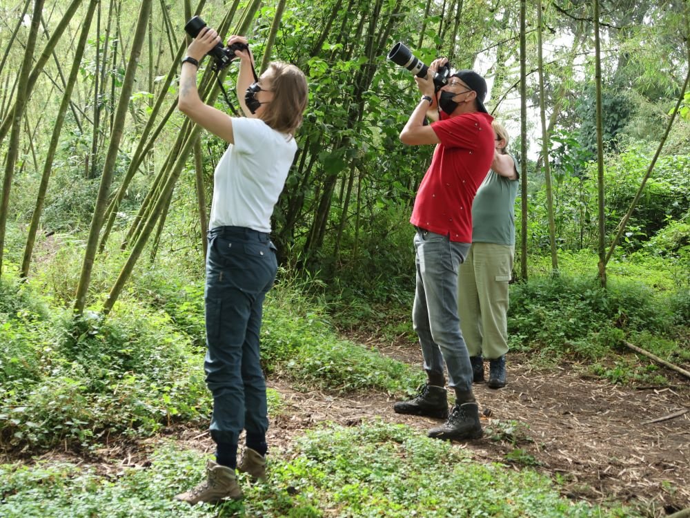 Fotograferen