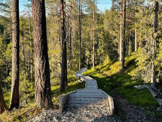 Afbeelding voor Hossa National Park