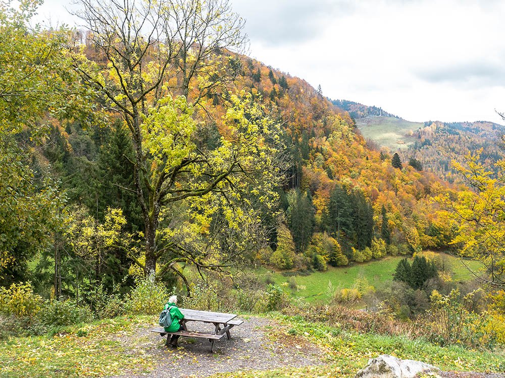 Wandelen rond de Todtnauberg