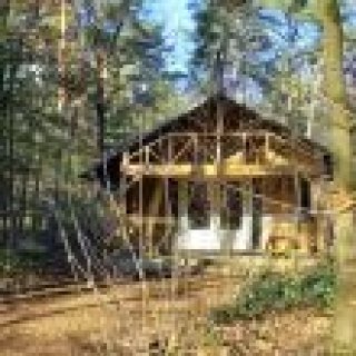 Afbeelding voor Natuurhuisje - Blokhut in Ermelo