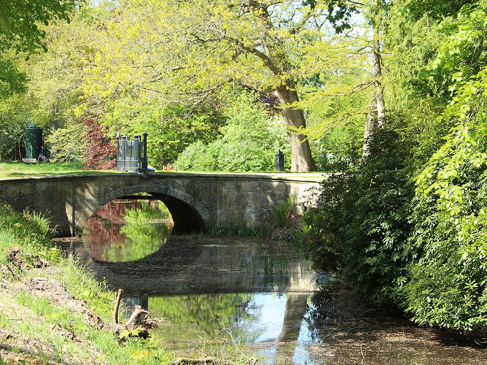Wandelen in Oranjewoud