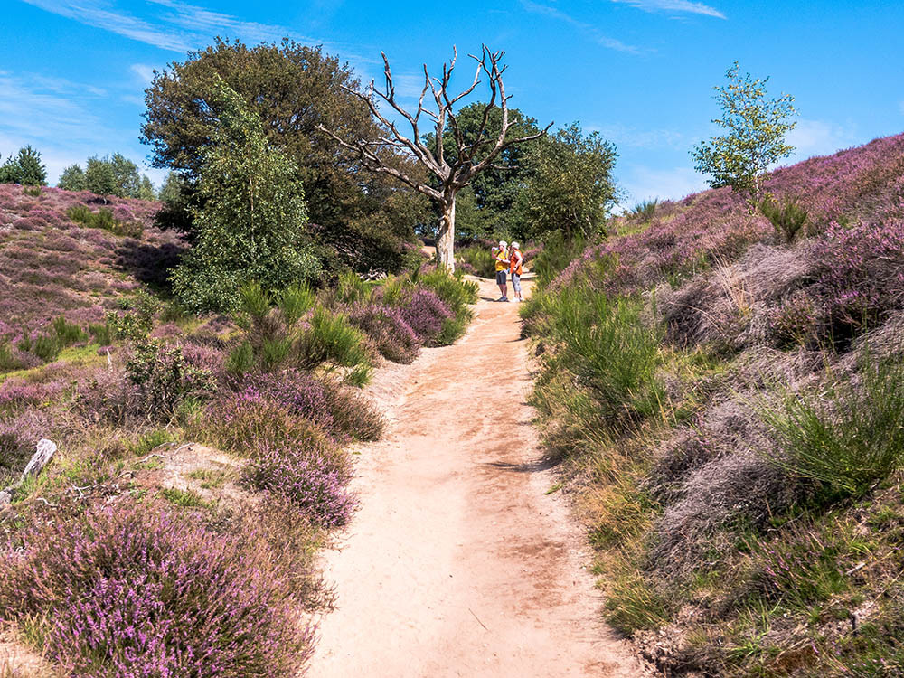 Wandelen Posbank