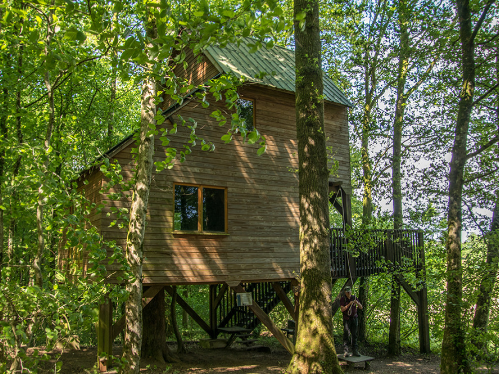 Treehouse