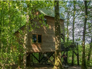 Afbeelding voor Slapen in een boomhut