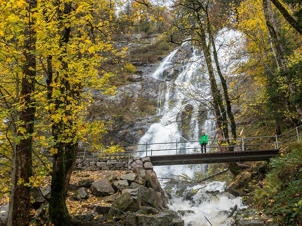 Todtnauer waterval in het Zwarte Woud