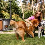 Afbeelding voor Overnachten met hond in Nederland