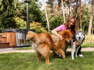 Afbeelding voor Overnachten met hond in Nederland